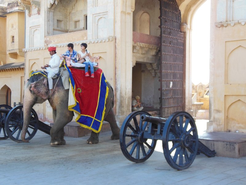 olifanten amberfort.jpg